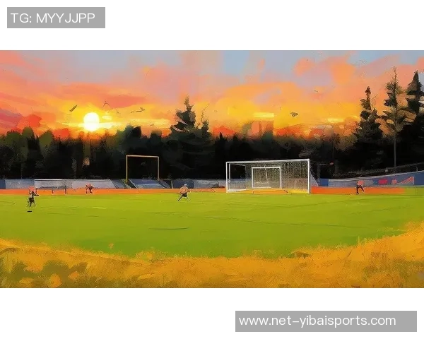 打造梦想中的自制足球场让孩子们在家也能尽情享受足球的乐趣与激情